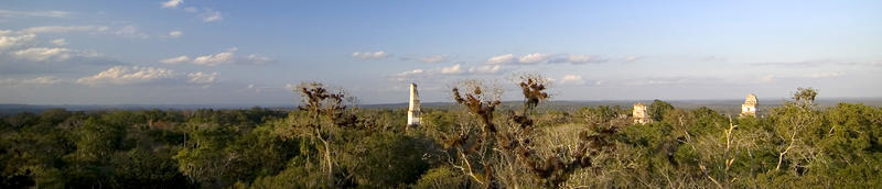 A panormamic view of the amazing Myan temples at Tikal, Guatemala